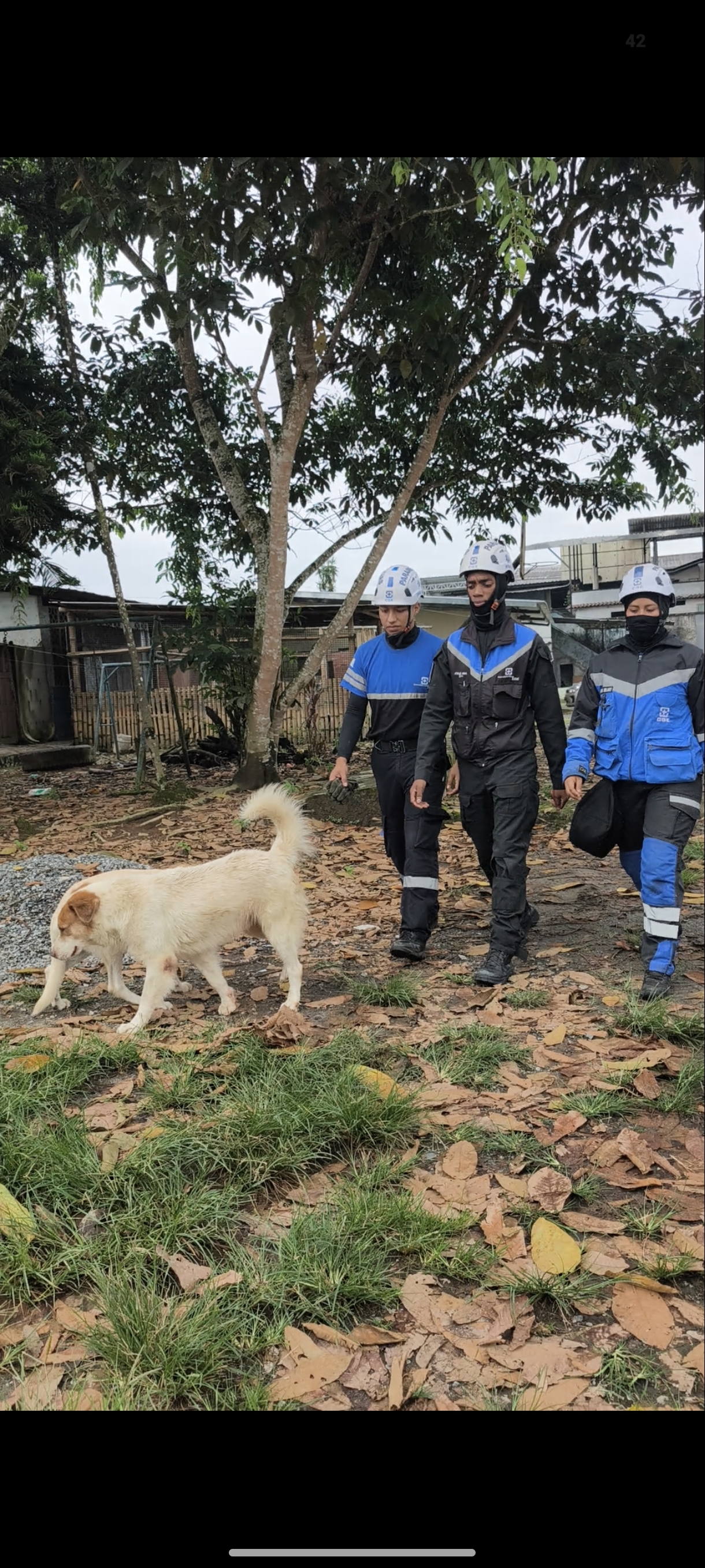 Fundación CGE entrega apoyo al refugio de la señora Betty para fortalecer su seguridad